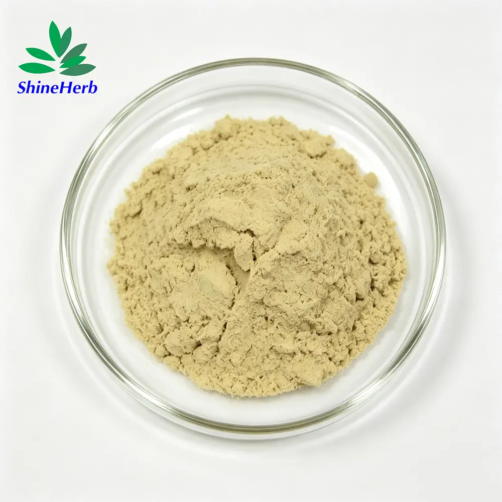 Best Food grade Baicalin Powder CAS No. 21967-41-9 Scutellaria Baicalensis Extract Exporters, Exporter
