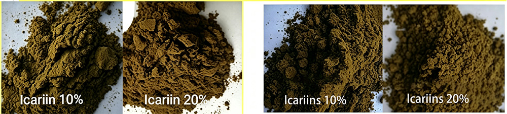 epimedium-extract-ilican