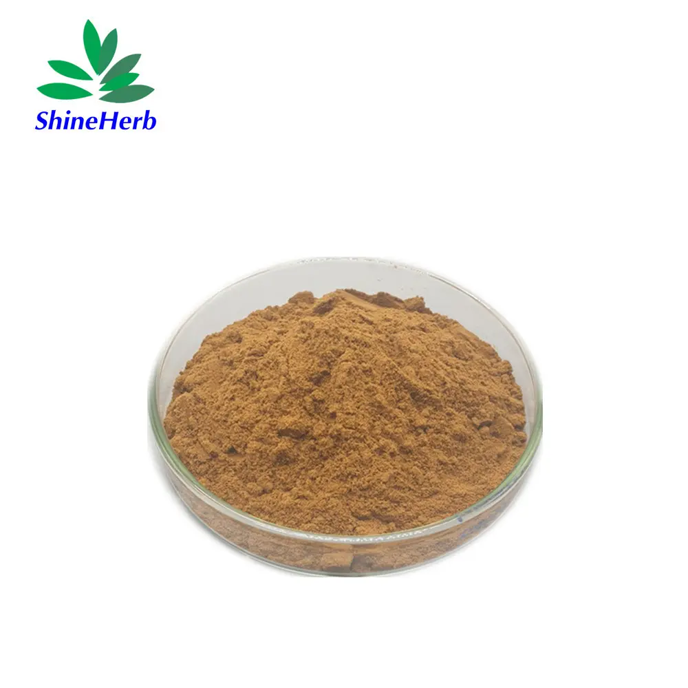 Wholesale 100% Natural Bamboo Leaf Extract Bulk wholesale Supplier, Exporter