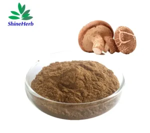 Best AHCC Food Grade Active  Hexose Correlated Compound Shiitake Mushroom Extract Powder Manufacturers, Supplier