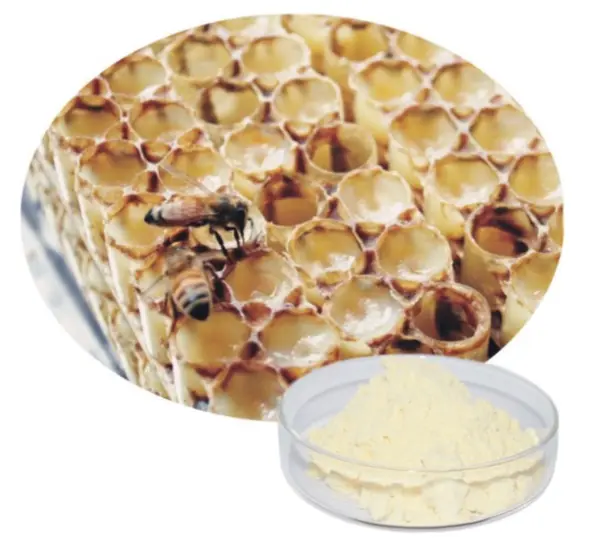 High-Quality Wholesale Honey Powder Natural Honey Bee Powder Supplier, Exporter