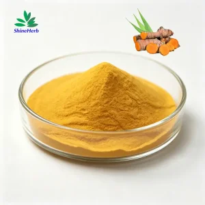 Curcumin Extract