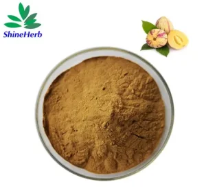 Buy Ginseng Berry Extract Natural Ginseng Flower Extract Dietary Supplement Supplier, Exporters