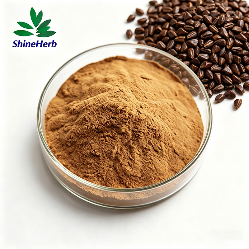 Cassia Seed Extract