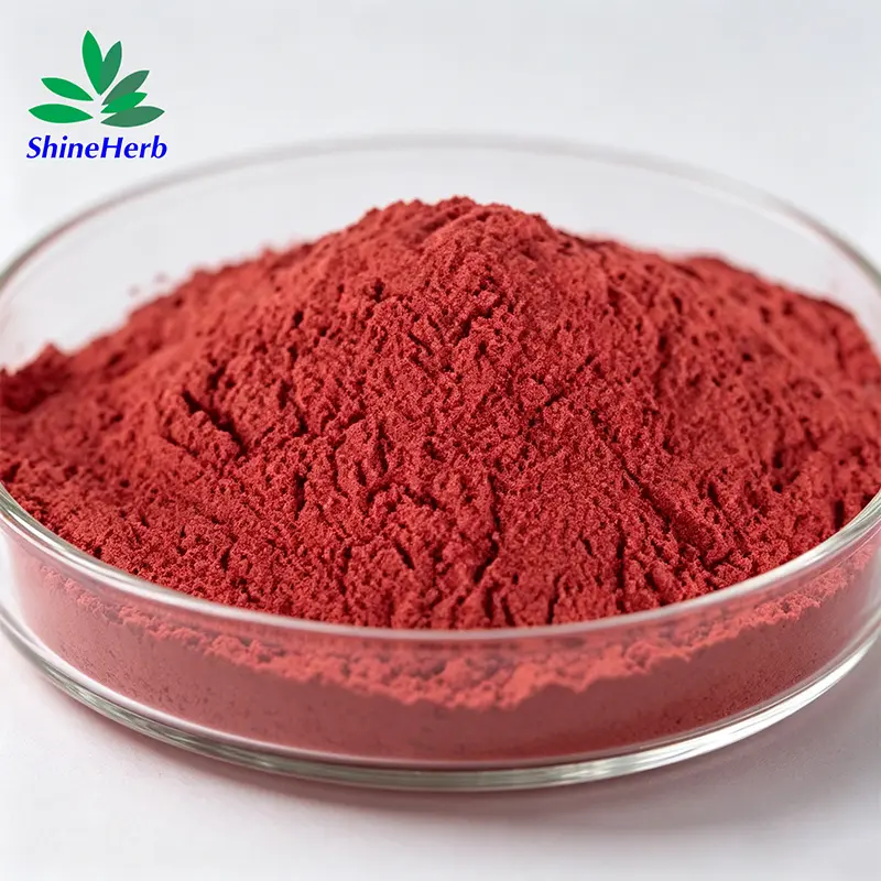 Buy Lycopene Powder for Anti-Aging Skincare & Male Wellness Supplements Manufacturer, Exporter