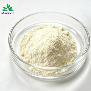 Natural Natto Extract Nattokinase supplement ingredient for cardiovascular health