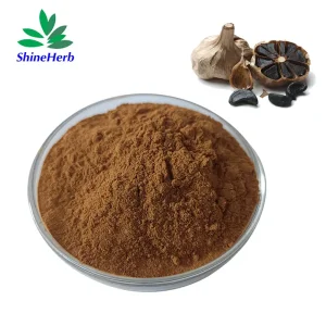High-Quality Factory Delivery Black Garlic Extract 1% Sac Powder Companies, Factories