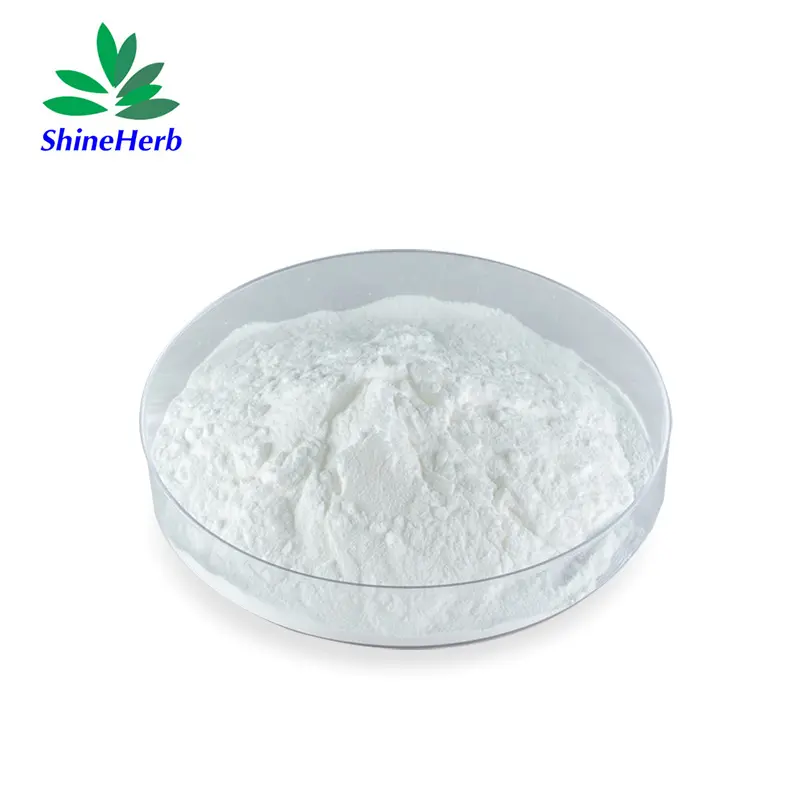 Buy Anti-Aging Raw Material Akk Intestinal Probiotics Akkermansia Muciniphila Supplier, Exporters