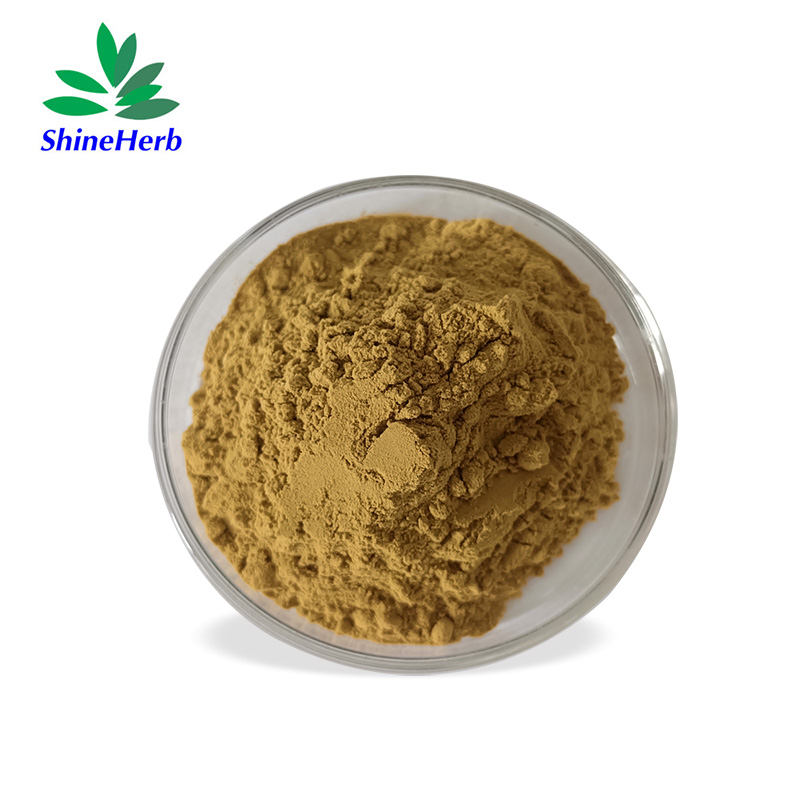 chasteberry-extract-1