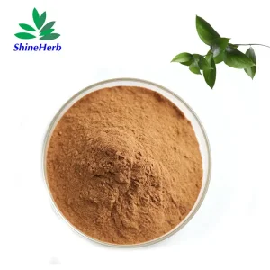 China Shineherb Supply Butchers Broom Extract