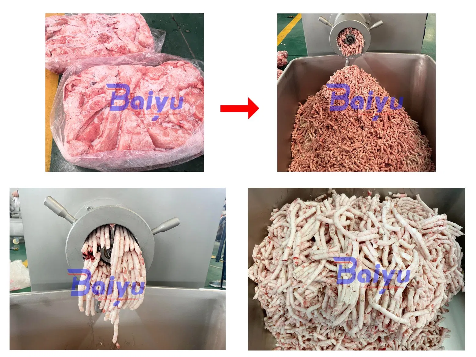 Moedor de Carne Industrial Baiyu para Fabricação de Ração para Animais de Estimação
