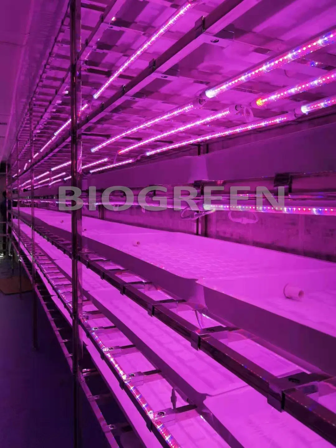 Sistema Aeropônico de Microrganismos em Contêiner de Cultivo Vertical Totalmente Automático para Cogumelos
