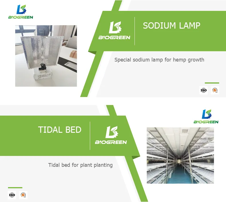 Sistema Aeropônico de Microrganismos em Contêiner de Cultivo Vertical Totalmente Automático para Cogumelos