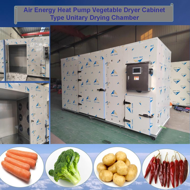 Máquina de Processamento de Carne, Câmara de Secagem por Bomba de Calor para Peixes, Camarões, Frutos do Mar, Secador de Damasco, Lichia, Sementes de Longan, Frutas, Vegetais Desidratador