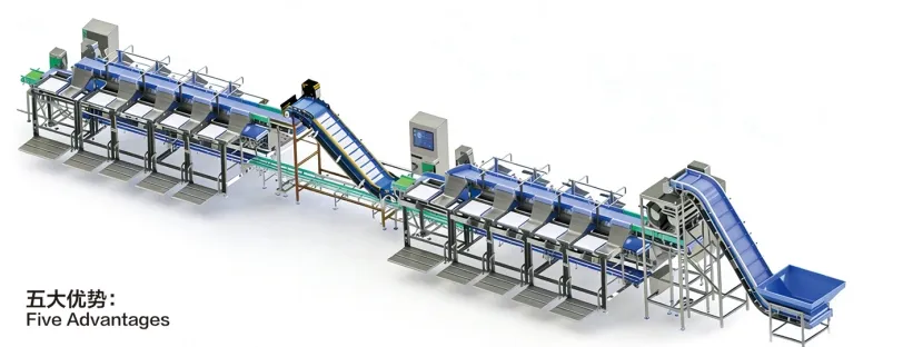 Equipamento de Embalagem a Vácuo com Dupla Tampa