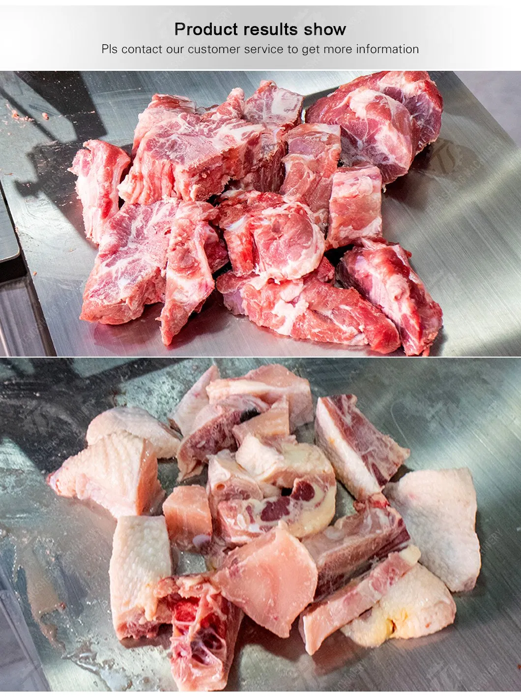 Máquina de Cortar Carne, Máquina de Serragem de Ossos (TS-JG320H)