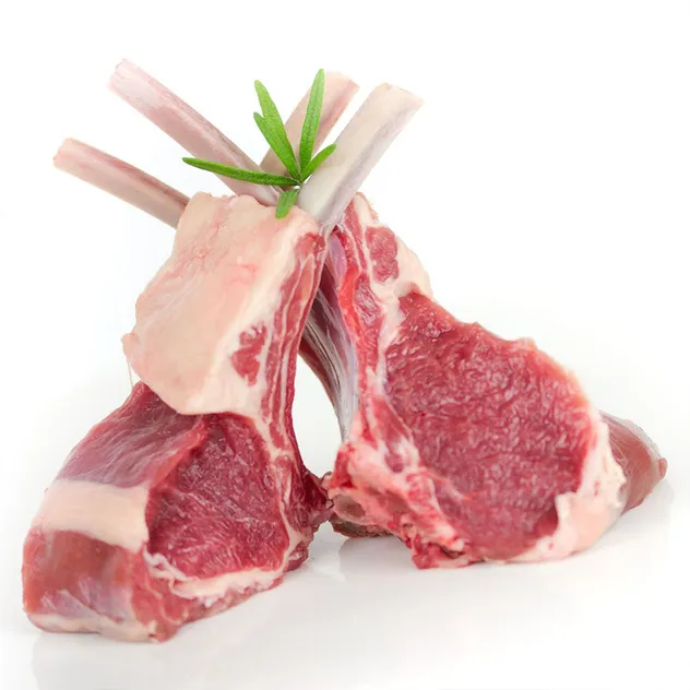 Máquina de Corte de Ossos de Carne Serra Pesada Máquina de Serragem 3
