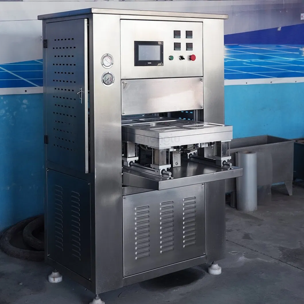 Máquina de Embalagem a Vácuo com Equipamento de Atmosfera Modificada Posicionamento Servo ±1 mm de Precisão Entrega Rápida Fornecedor de Mapa