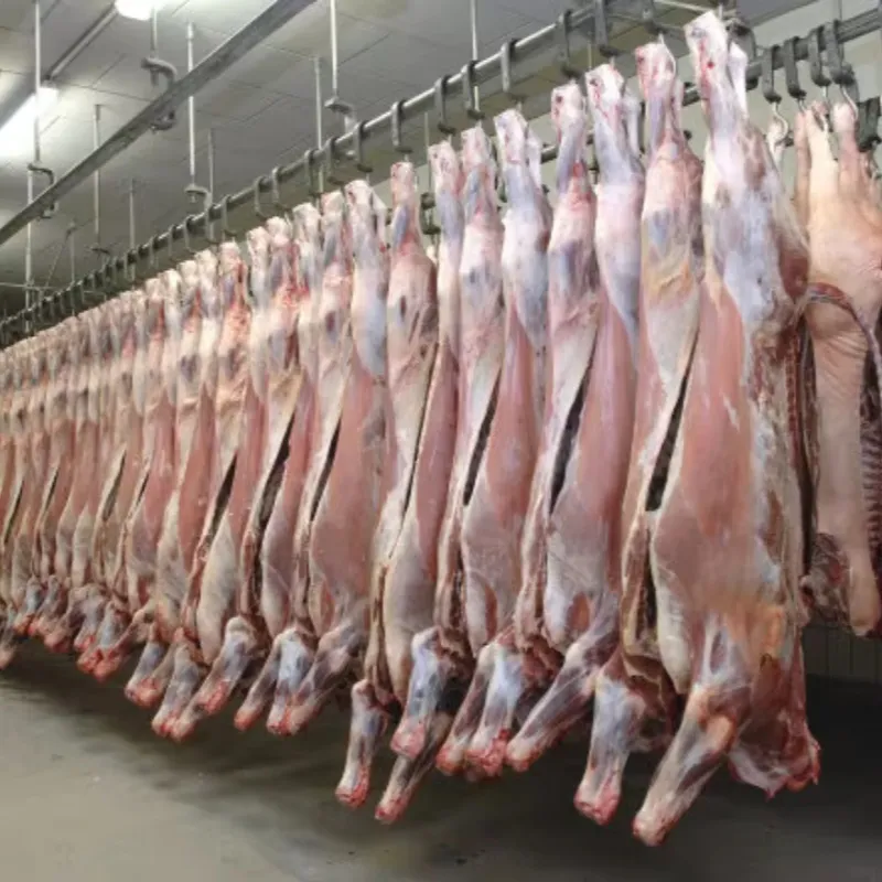 Corte de Peixe Congelado