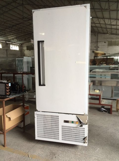 Congelador Comercial Baixo Preço Aço Inoxidável Resfriador Congelador