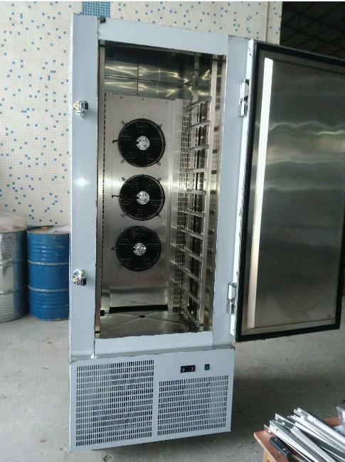 Congelador Comercial Baixo Preço Aço Inoxidável Resfriador Congelador