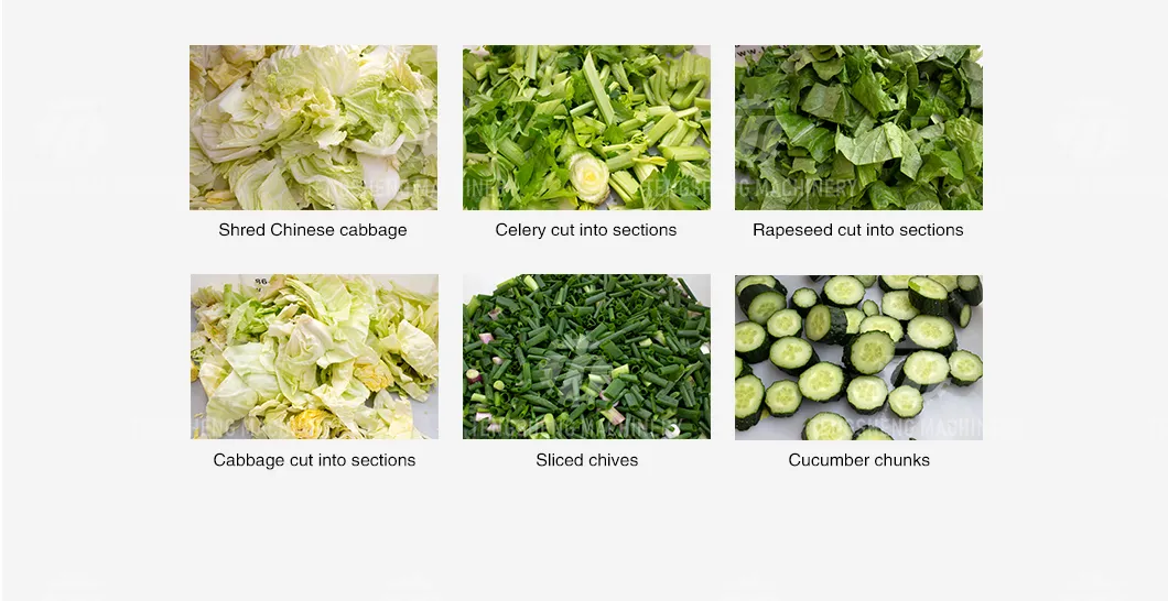 Máquina de Corte de Legumes e Frutas Industrial (TS-Q118)