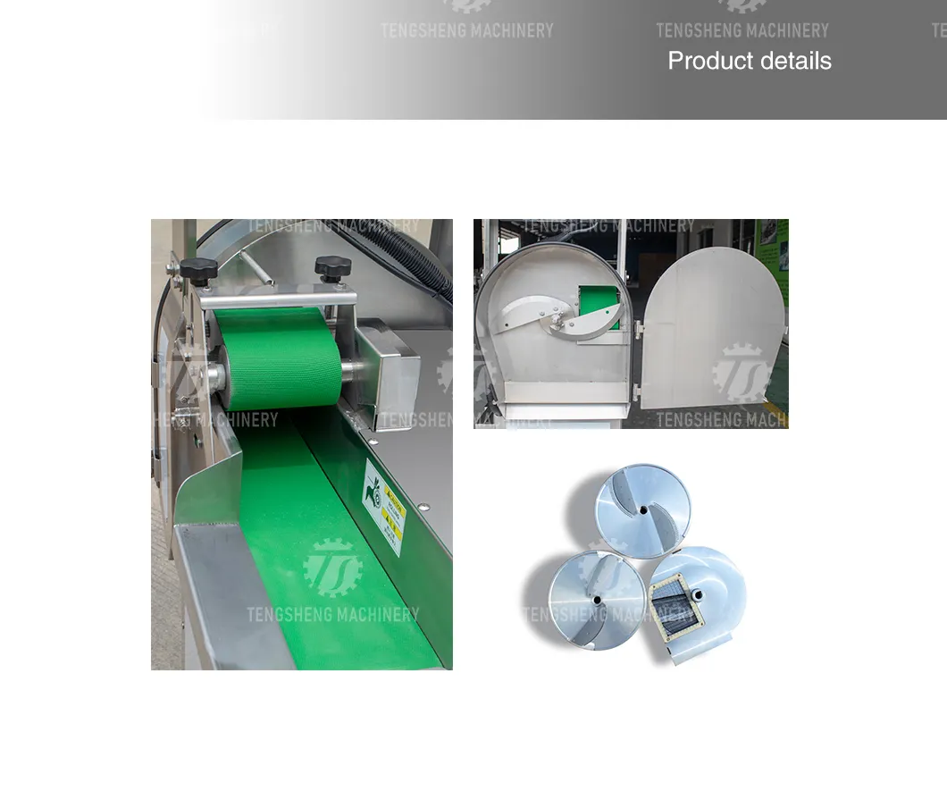 Máquina de Corte de Legumes e Frutas Industrial (TS-Q118)