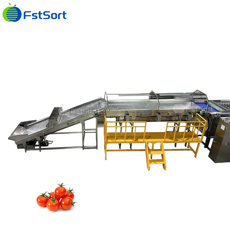 Máquina de Classificação e Ordenação de Tomates Cereja com Tamanho Ajustável, Equipamento de Processamento de Tomates Cereja, Sistema de Pesagem de Tomates Cereja
