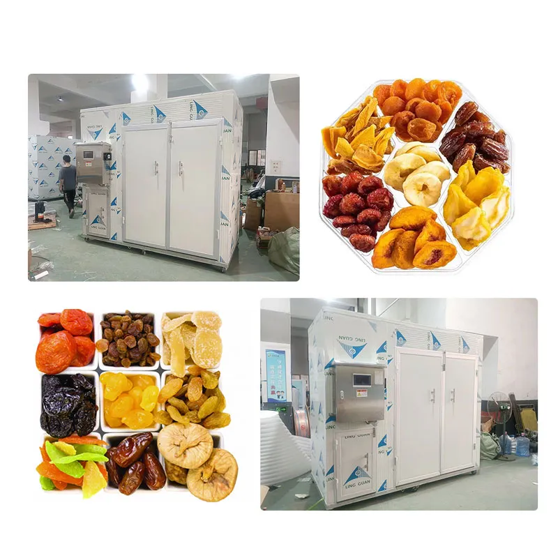 Industrial Electric Air Source Heat Pump Sausage Food Vegetable Fruit Dehydrator 2