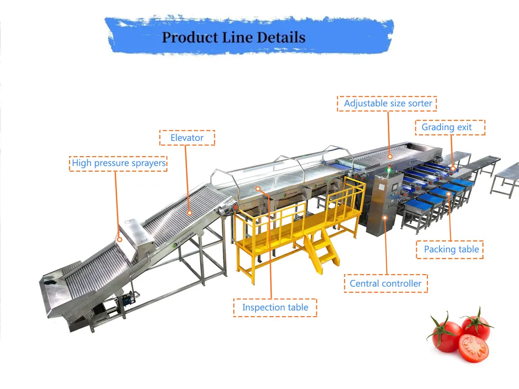 Máquina de Classificação e Ordenação de Tomates Cereja