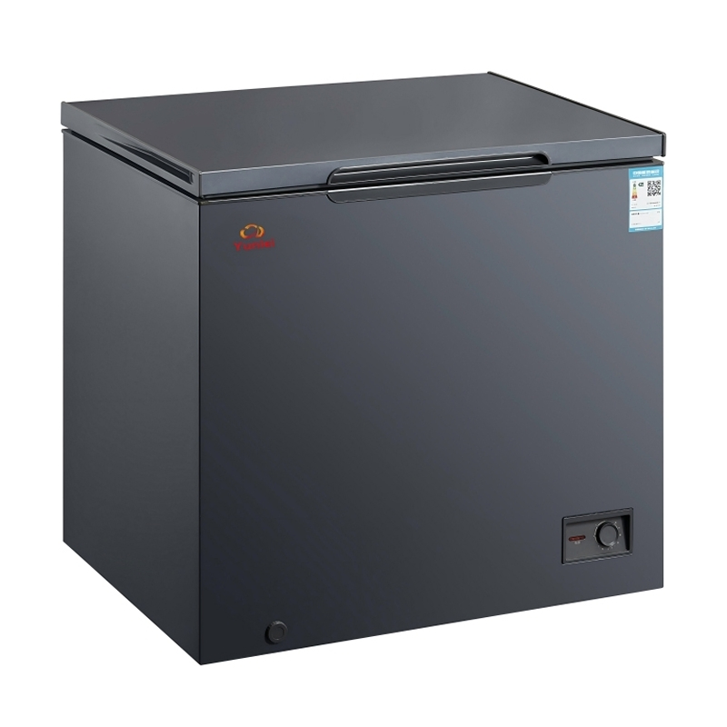 Freezer Horizontal Comercial de Baixo Consumo com Duas Portas para Exibição de Carne e Sorvete em Garagem