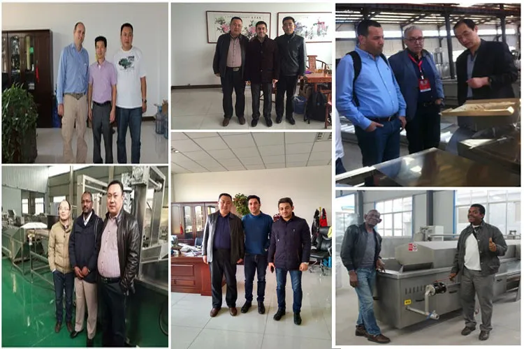 Máquina Industrial Automática de Corte, Dicing e Lavagem de Repolho e Alface