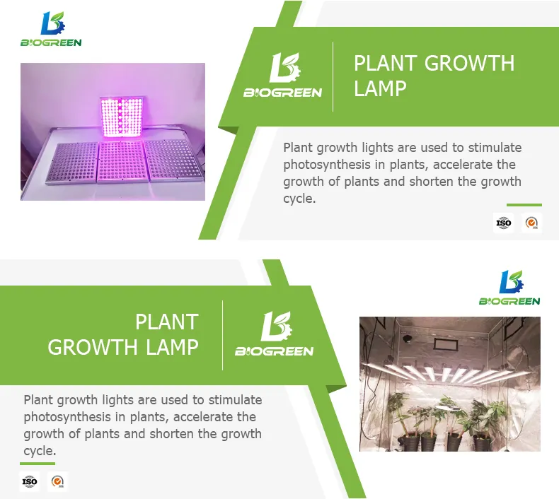 Sistema Aeropônico de Microrganismos em Contêiner de Cultivo Vertical Totalmente Automático para Cogumelos
