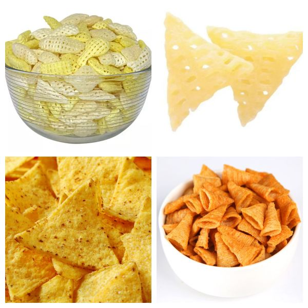 Fritadeira Contínua Avançada para Processamento Industrial de Snacks Fritos e Frutos do Mar