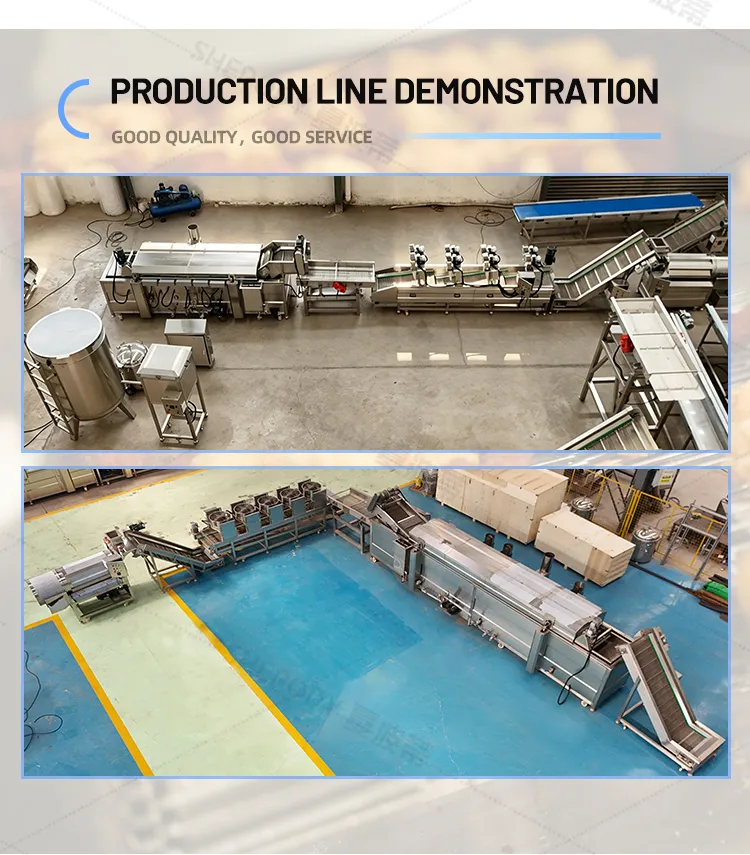 Tempura Shrimp Making Fish Shrimp Fryer Machine Automatic Battering System