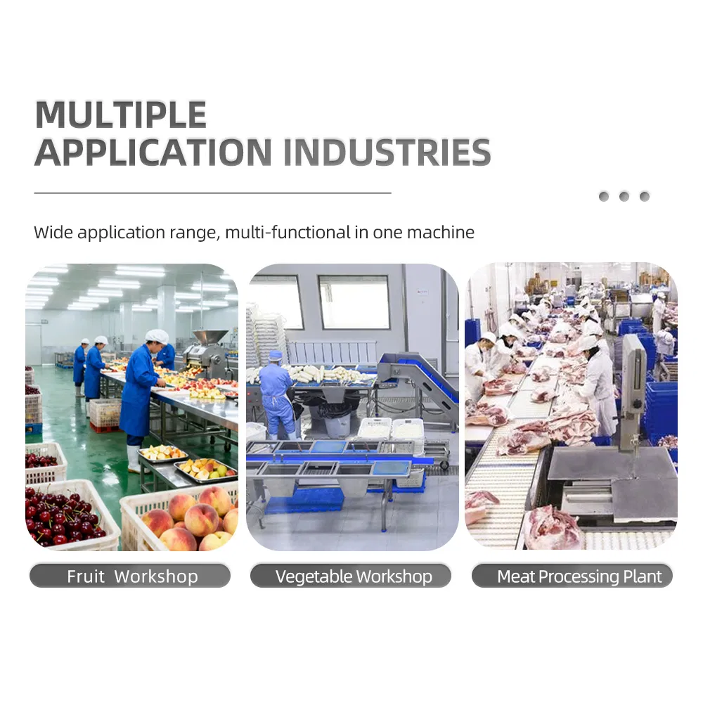 Máquina Industrial de Secagem a Ar Quente Desidratador de Frutas para Processamento de Frutas e Legumes