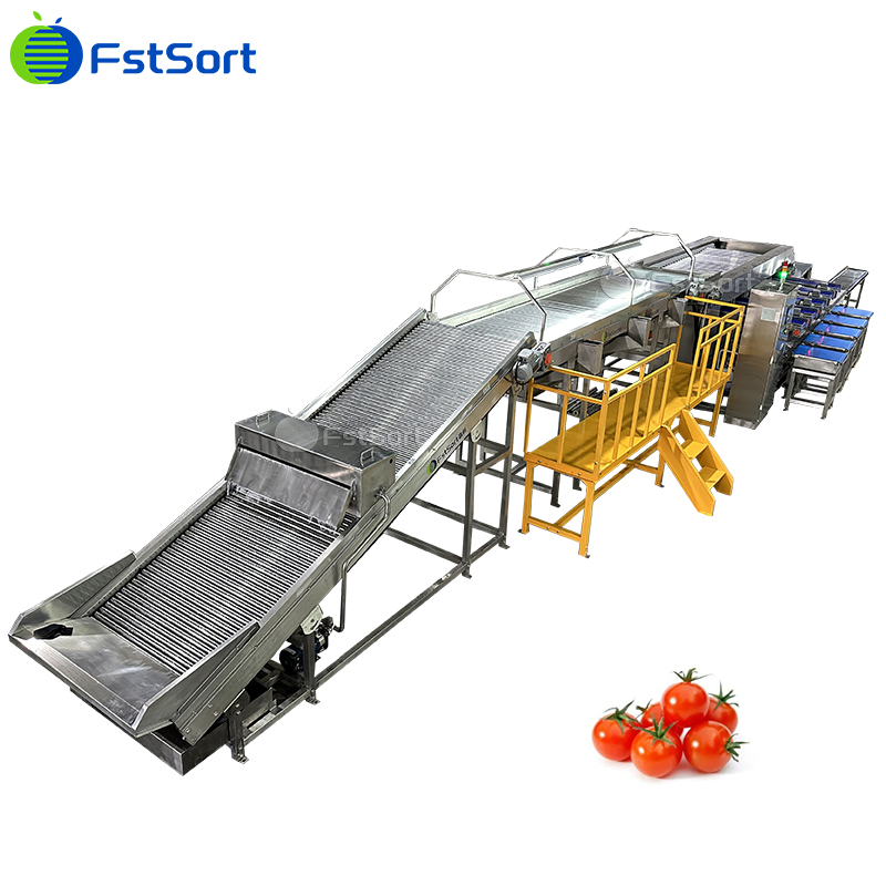Máquina de Classificação e Ordenação de Tomates Cereja com Tamanho Ajustável, Equipamento de Processamento de Tomates Cereja, Sistema de Pesagem de Tomates Cereja