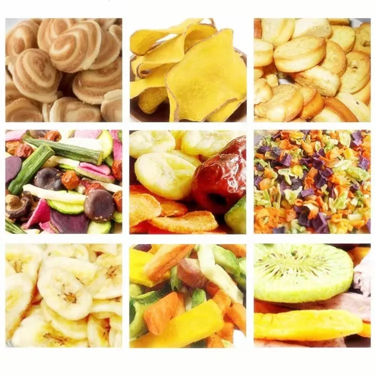 Secador Industrial Carnes e Legumes