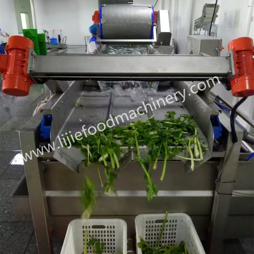 Máquina Industrial Automática de Corte, Dicing e Lavagem de Repolho e Alface