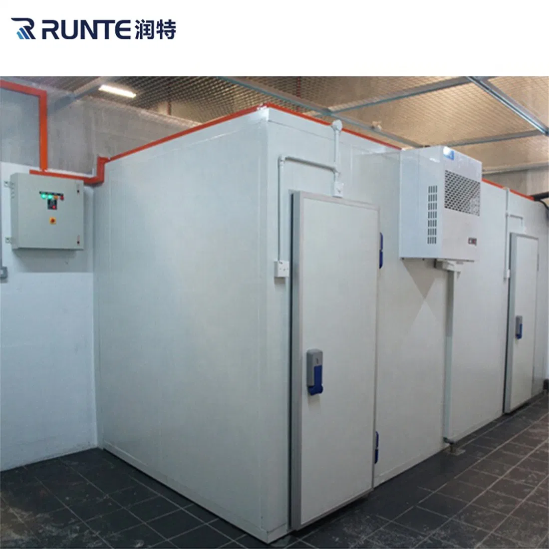 Congelador industrial comercial Runte, congelador walk-in para carne e peixe, armazenamento a frio de baixa temperatura, preço de fábrica