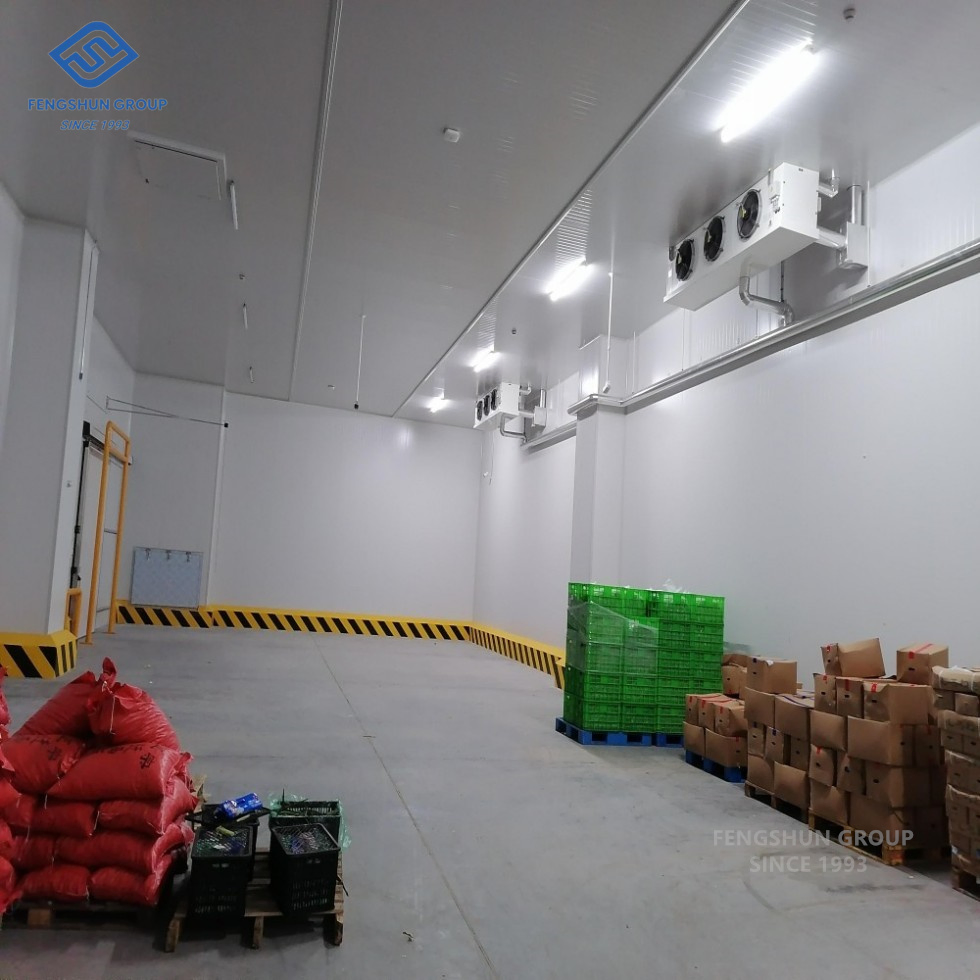 Congelador Comercial Pequeno 50kg/H para Preservação de Legumes Frescos em Mercados Locais