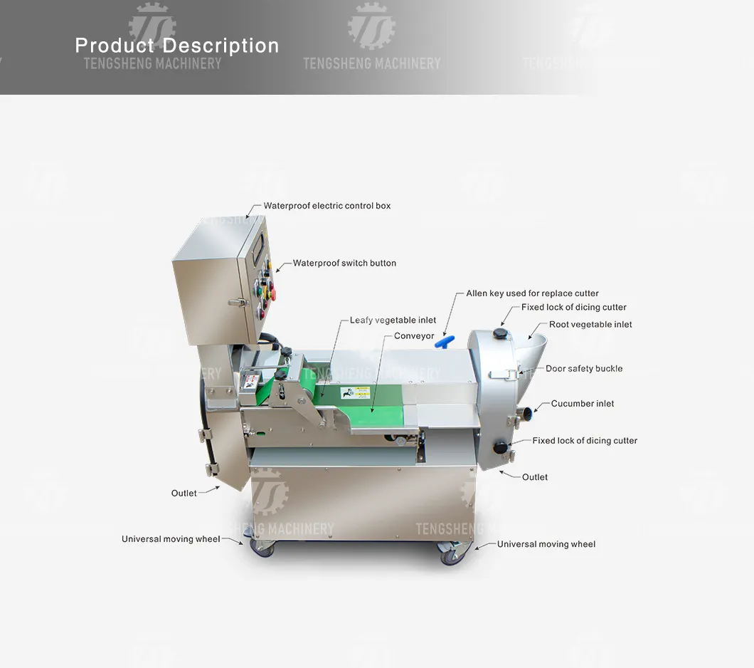 Máquina de Corte de Legumes e Frutas Industrial (TS-Q118)