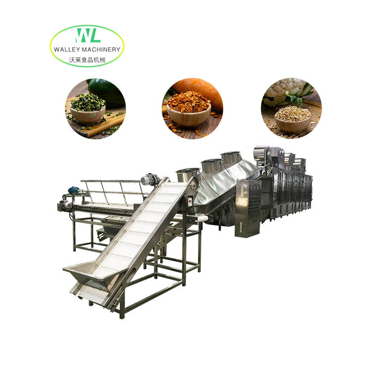 Máquina Desidratadora Industrial de Alimentos Tipo Cinto para Secagem de Camarões em Promoção