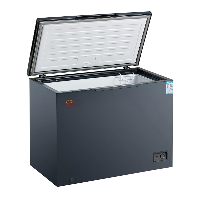 Freezer Horizontal Comercial de Baixo Consumo com Duas Portas para Exibição de Carne e Sorvete em Garagem
