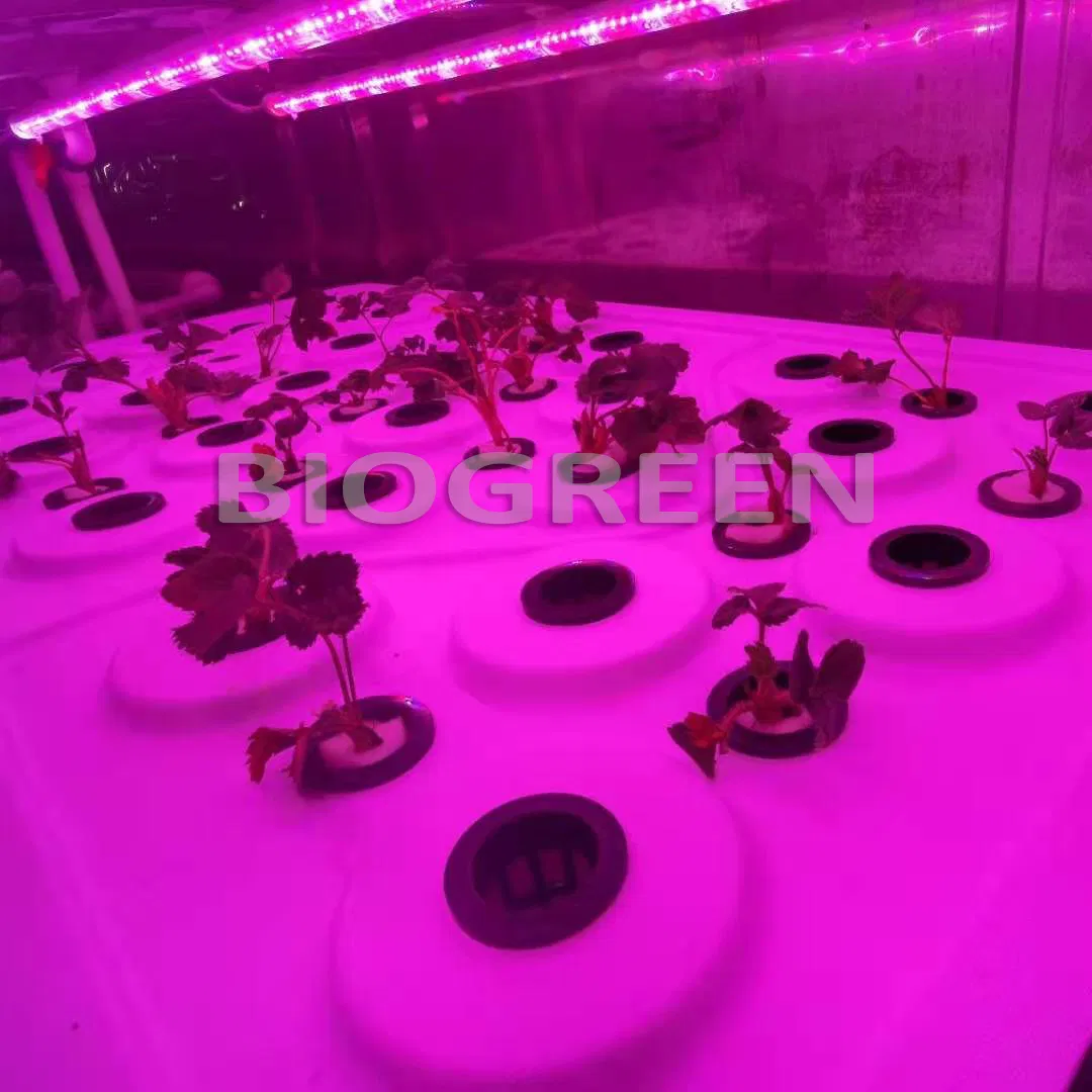 Sistema Aeropônico de Microrganismos em Contêiner de Cultivo Vertical Totalmente Automático para Cogumelos