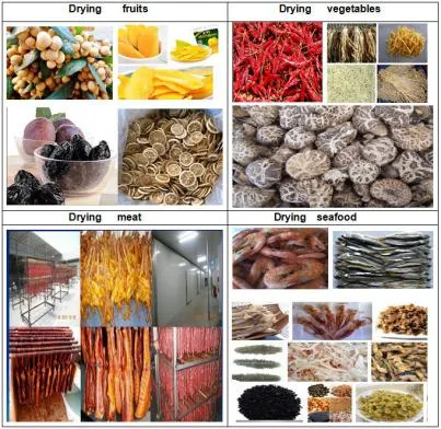 Máquina Industrial de Desidratação de Frutos do Mar para Frutas / Forno de Secagem para Madeira