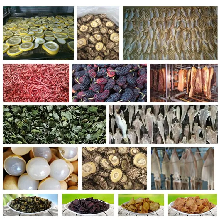 Máquina Desidratadora Industrial de Frutas e Vegetais de Boa Performance Desidratador Profissional de Alimentos