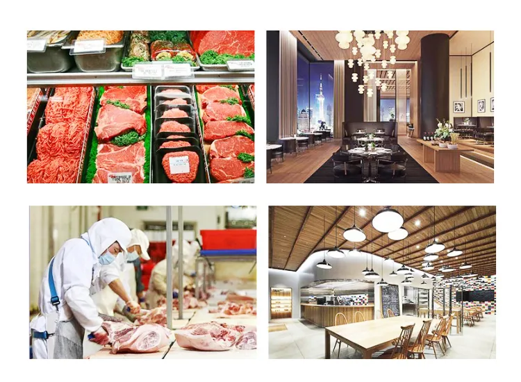 Máquina de Corte de Ossos de Carne Congelada Máquina de Corte de Carne Preço no Paquistão Máquina Automática de Corte de Carne Fresca Máquina de Corte em Cubos de Carne Máquina Industrial Congelada