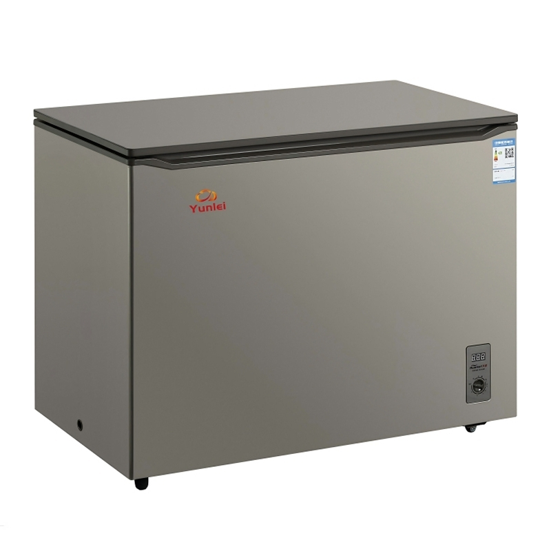 Freezer Horizontal Comercial de Baixo Consumo com Duas Portas para Exibição de Carne e Sorvete em Garagem