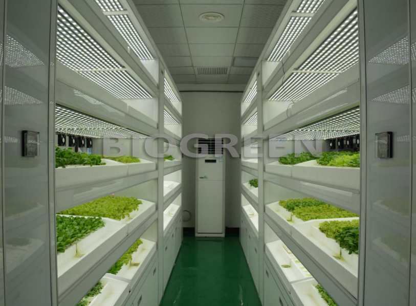 Sistema Aeropônico de Microrganismos em Contêiner de Cultivo Vertical Totalmente Automático para Cogumelos